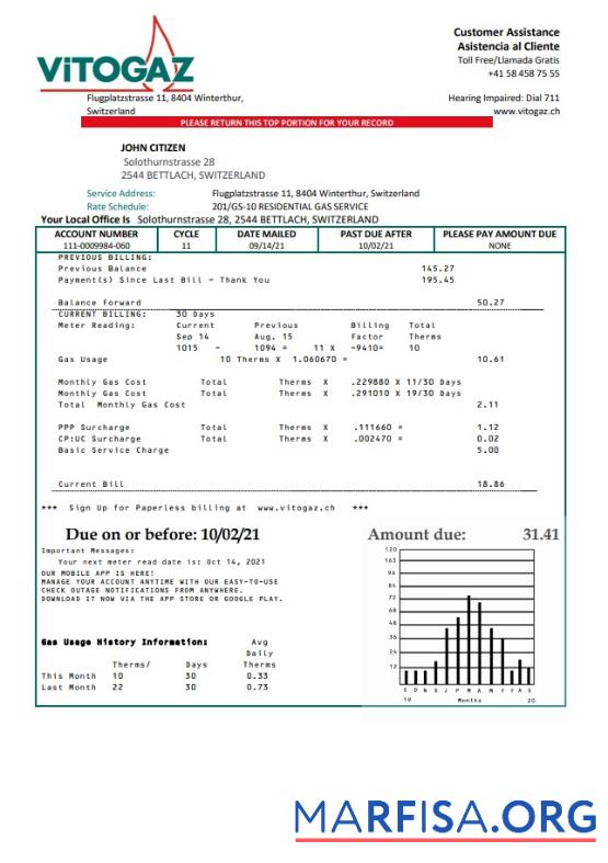 Printable Switzerland Vitogaz Switzerland AG utility bill template, fully editable in Word and PDF format